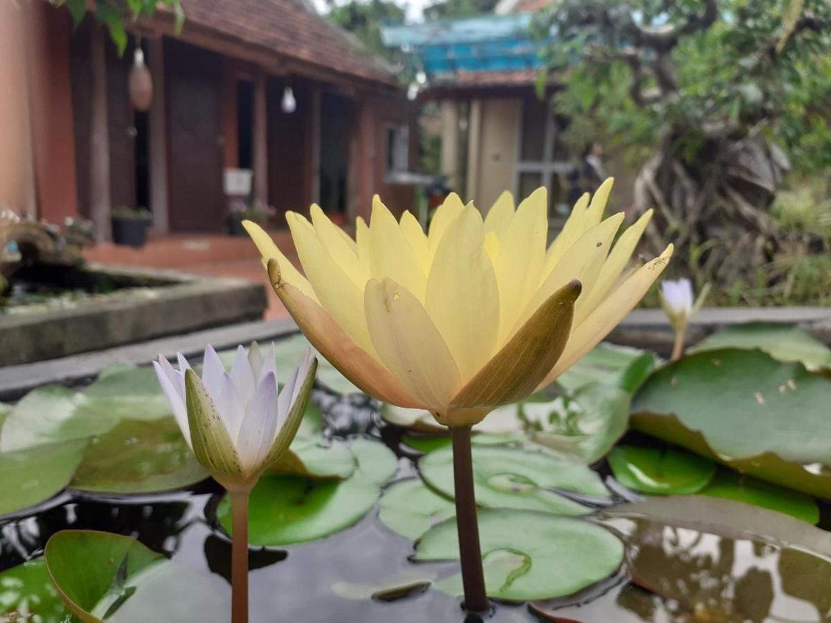 Little Trang An Homestay Ninh Binh Exterior photo